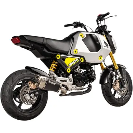 Réduction Echappement AKRAPOVIC HONDA MSX 125 2021-2025