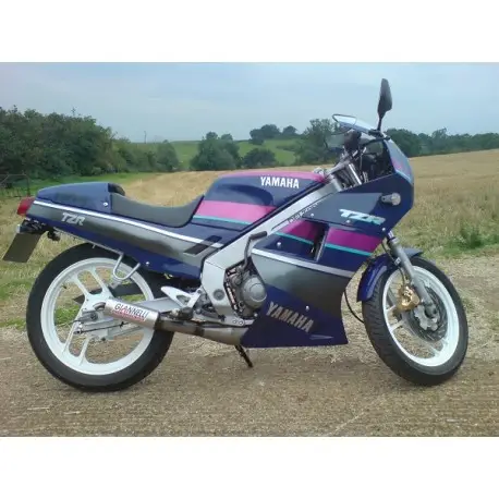 Expédié Aujourd’hui Ligne d'Echappement GIANNELLI STREET YAMAHA TZR 125 1982-1989