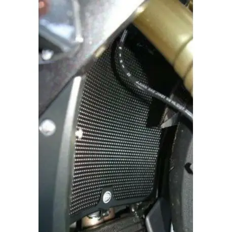 Dernier Modèle Protections de radiateur d'eau R&G racing BMW S1000RR 2009-2014 S1000R 2014-2016