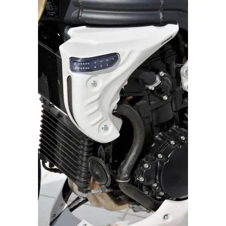 Prix Promo Ecopes de radiateur ERMAX Triumph 1050 SPEED TRIPLE 2005-2007
