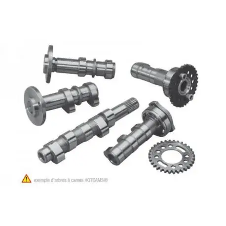 Produit De Marque ARBRES A CAMES HOT CAMS STAGE 1 SUZUKI LT-R450 2006-2012
