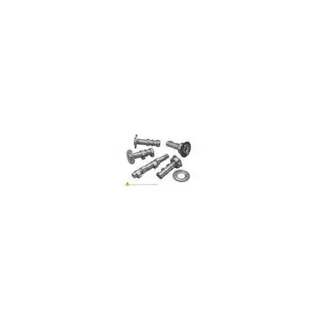 Commande En Gros ARBRES A CAMES HOT CAMS STAGE 1 YAMAHA YFM700R RAPTOR 2009-2014