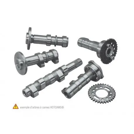 Arbre à cames HOT CAMS Niveau 1 HONDA CRF 450 R 2013-2016 Offre Limitée