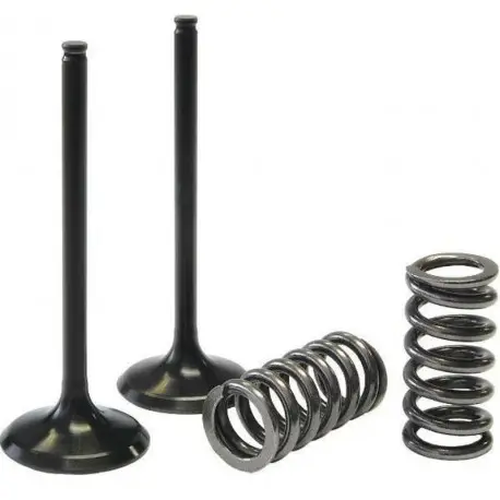 Kit conversion de soupapes d'admission PROX acier YAMAHA WR 250 F YZ 250 F GAS GAS EC 250 F EC 300 F FANTIC TF 250 ES Usine Directe