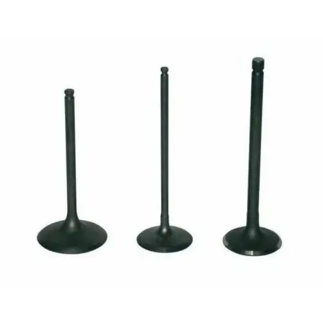 Authentique Soupape d'échappement VERTEX titane GAS GAS EC 250 F MC 250 HUSVARNA FC 250 FE 250 KTM EXC-F 250 SX-F 250 HUSABERG FE 250