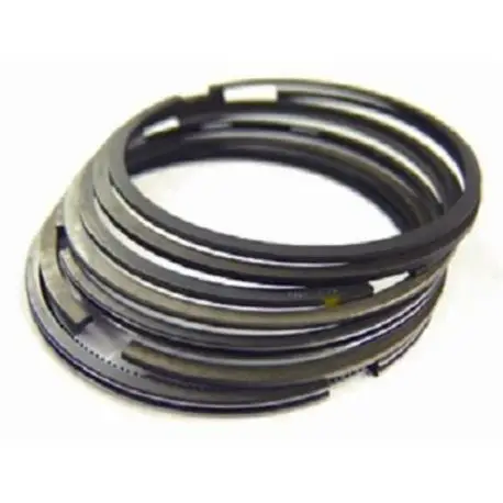 SEGMENTS AIRSAL POUR GROUPE THERMIQUE 059022 Pas Cher