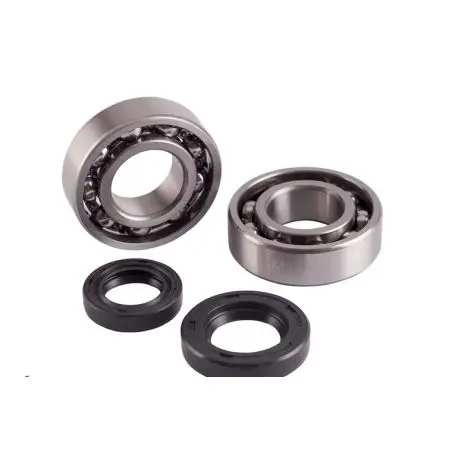 Meilleure Vente Kit roulements et joints spi de vilebrequin TOP PERFORMANCES PEUGEOT BUXY ELYSEO ELYSTAR LOOXOR SPEEDFIGHT SQUAB VIVACITY