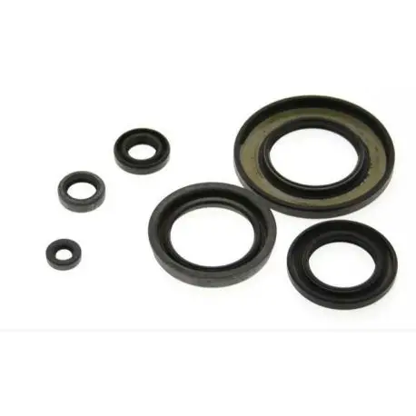 Vente Flash Jeu de joints spi CENTAURO APRILIA MOTEUR ROTAX 122 1988 – 2007