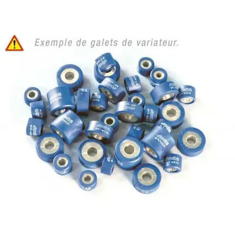 Certifié Jeu de galets POLINI 20x17mm 10 1gr6 pièces pour scooter