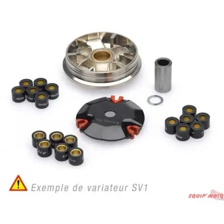Variateur POLINI HI SPEED PEUGEOT SPEEDFIGHT TWEET VIVACITY SYM FIDDLE MOI SYMPHON SYMPLY Meilleur Prix