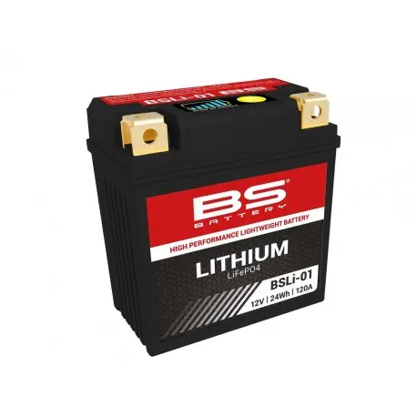 Batterie BS BATTERY Lithium-Ion BSLI-01 (LFP01) Usine Directe