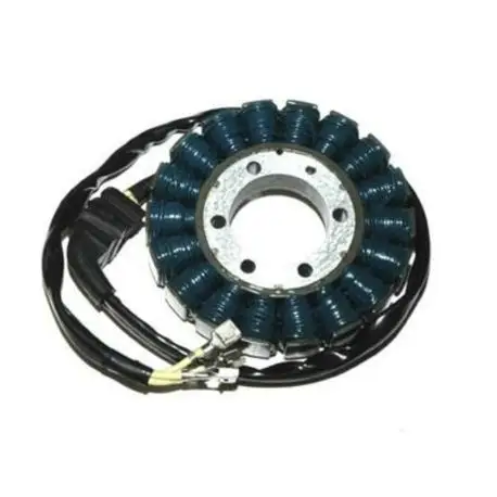Promotion Saisonnière Stator ELECTROSPORT Honda CBR900RR CBR954RR SC50 2002-2003
