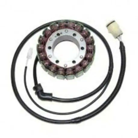 Stator ELECTROSPORT Kawasaki ZX12R 2002-2003 Meilleur Choix