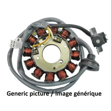 Stator TECNIUM Triumph Daytona 955 SPRINT 955 ST SPRINT 955 RS Jusqu’à Épuisement Des Stocks
