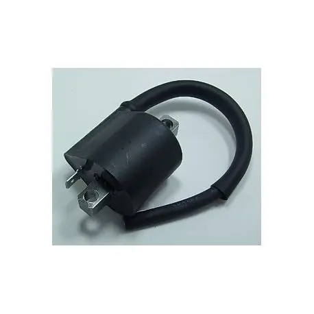 Bobines d'allumage moto KAWASAKI ZX10R 2011-2012 Authentique