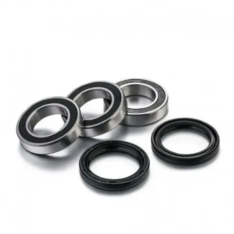 Expédié Aujourd’hui Kit roulements de roues arrière FACTORY LINKS