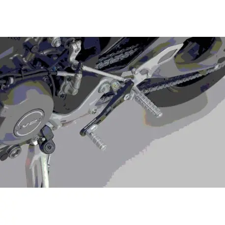 sélecteur de vitesse SW MOTECH DUCATI PANIGALE V2 STREETFIGTER V2 890 Achat Immédiat