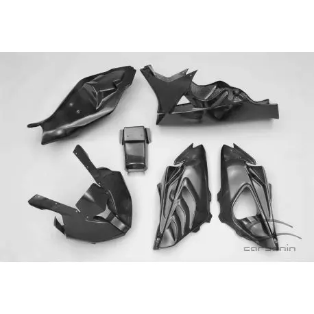 Carénage complet carbone avec partie arrière BMW S1000RR 2015-2016 Produit De Marque