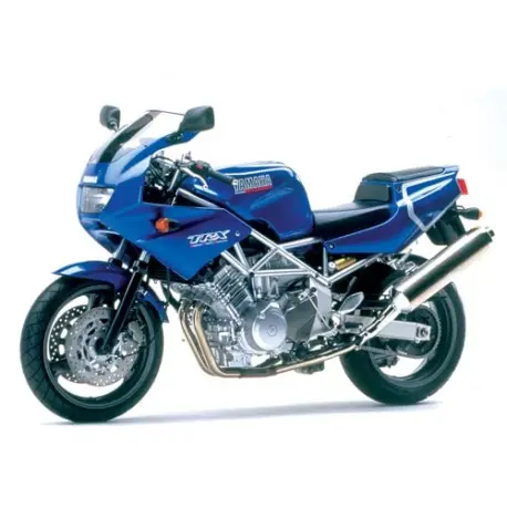bulle ERMAX racing YAMAHA TRX 850 1996-2001 Prix Promo