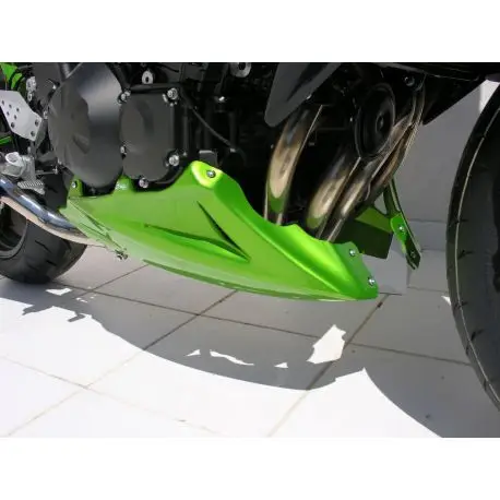 Quantité Limitée Sabot moteur ERMAX KAWASAKI Z750 2004-2006