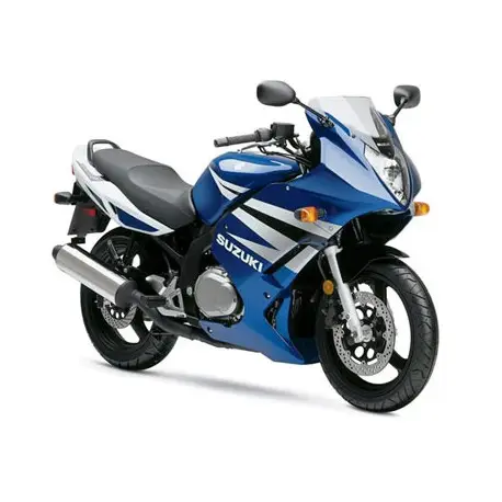 Super Prix bulle haute protection + 5cm ERMAX SUZUKI GS500F 04-08