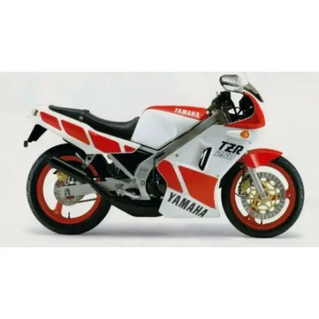 Bulle taille origine ERMAX YAMAHA TZR 250 2MA 1987-1990 Acheter En Ligne