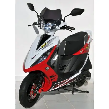 Retour Gratuit Saute vent ERMAX SYM RX 110 2010-2011