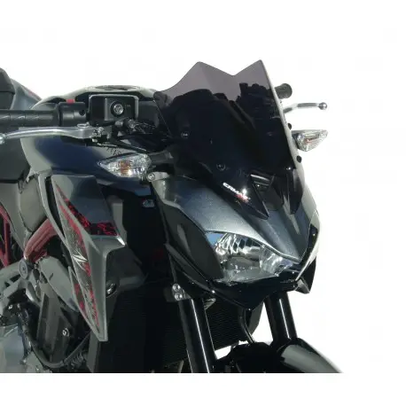 Saute vent hypersport Ermax pour KAWASAKI Z900 2017-2019 Meilleur Prix