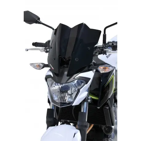Petit Prix Saute vent sport ERMAX KAWASAKI Z650 2017-2019