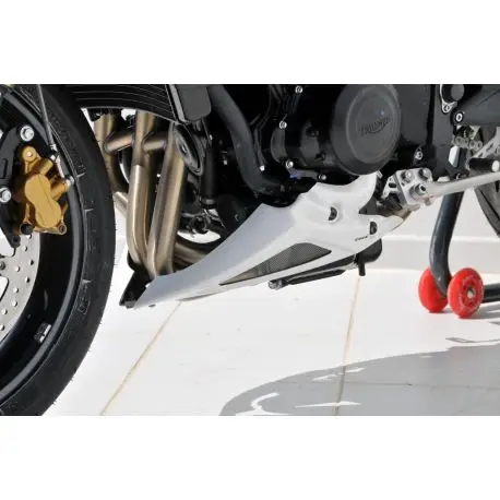 Sabot ERMAX TRIUMPH 675 STREET TRIPLE R 2012 Authentique