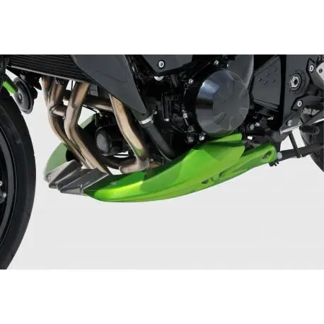 Dernier Modèle Sabot moteur ERMAX EVO KAWASAKI Z750 2007-2013