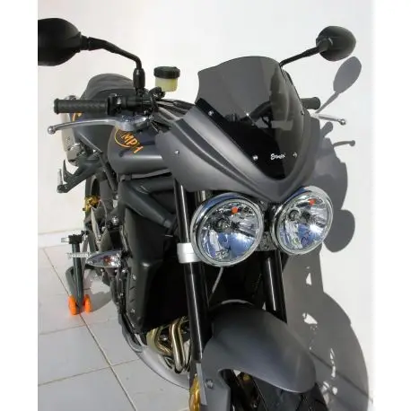 Remise Tête de fourche Ermax pour TRIUMPH Street Triple 675 R 2009-2011
