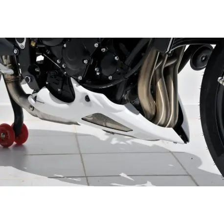 Sabot moteur ERMAX TRIUMPH 675 STREET TRIPLE 2012 Bon Marché