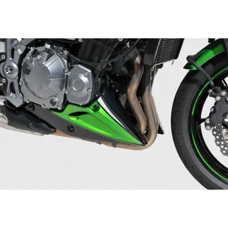 Sabot moteur ERMAX KAWASAKI Z900 2017-2019 Super Prix
