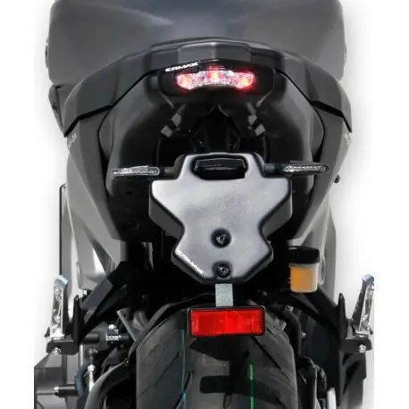 Acheter En Ligne SUPPORT DE PLAQUE ERMAX YAMAHA MT-09 2014-2016