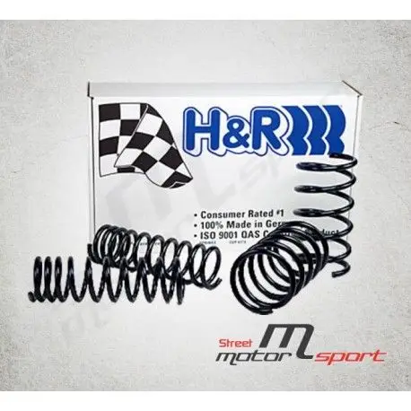 Ressorts H&R Mercedes Authentique