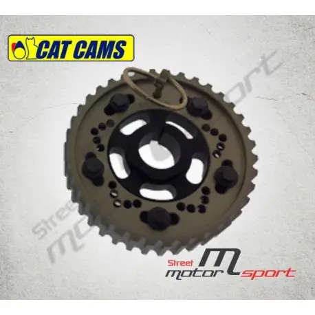 Populaire Poulie CAT CAMS Ford Focus 2.0L 16v ST170 - CTFO170