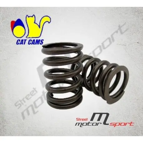 Affaire À Saisir Ressorts de soupapes renforcés CAT CAMS Peugeot 206 TU5JP4