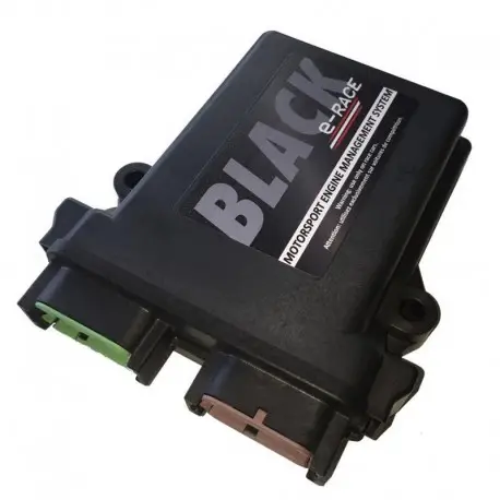 Acheter En Ligne Gestion moteur programmable/Calculateur e-RACE Black | Faisceaux en option