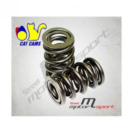 16x Doubles ressorts de soupapes CAT CAMS Peugeot TU5J4/TU5JP4 Produit De Marque