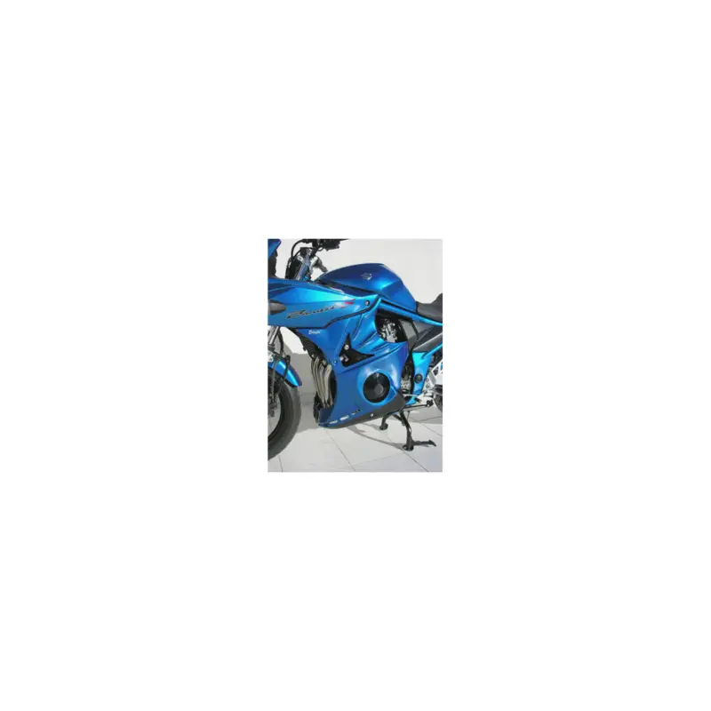 Certifié Flancs de carénage Ermax pour Suzuki GSF Bandit 650 S 2005-2006 / 1200 S 2006-2007 (la paire)