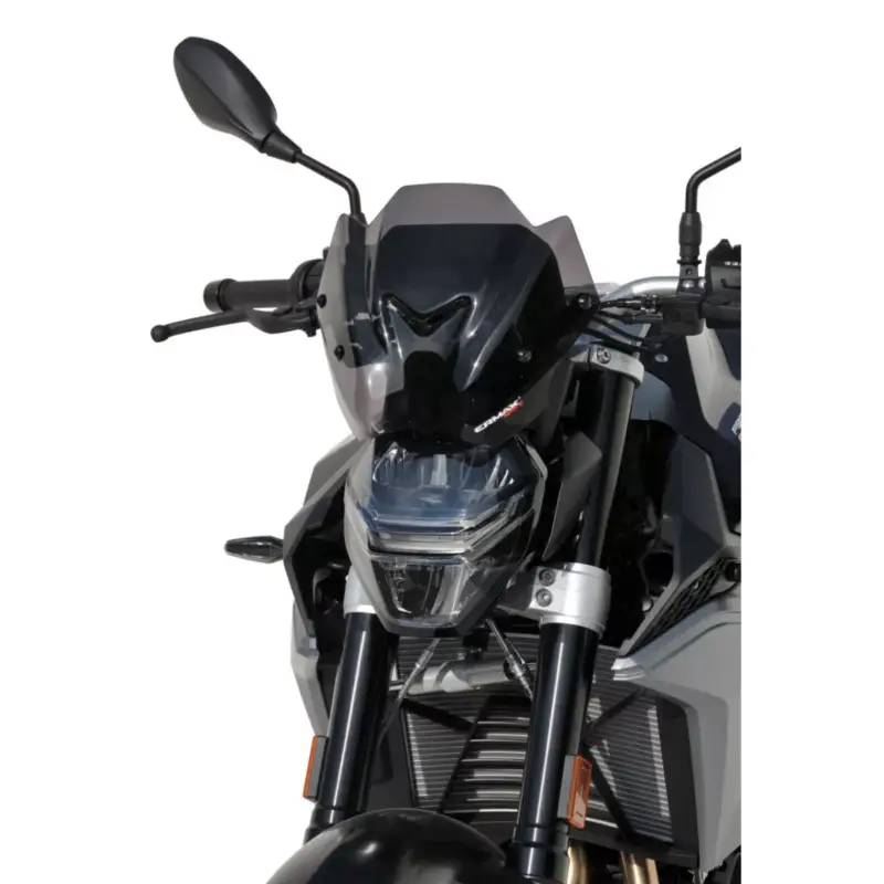 Déflecteur saute-vent Hypersport Ermax, hauteur 24cm, pour BMW F900R 2020 et + Meilleure Vente