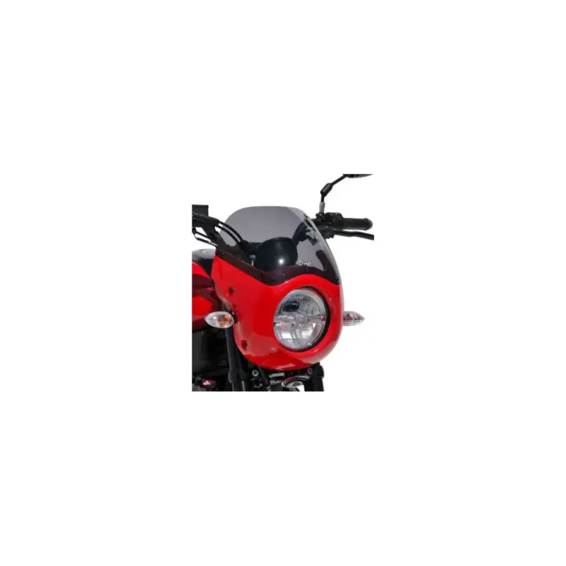 Acheter En Ligne Tête de fourche Ermax Café Racer pour Yamaha XSR125 2022 et +