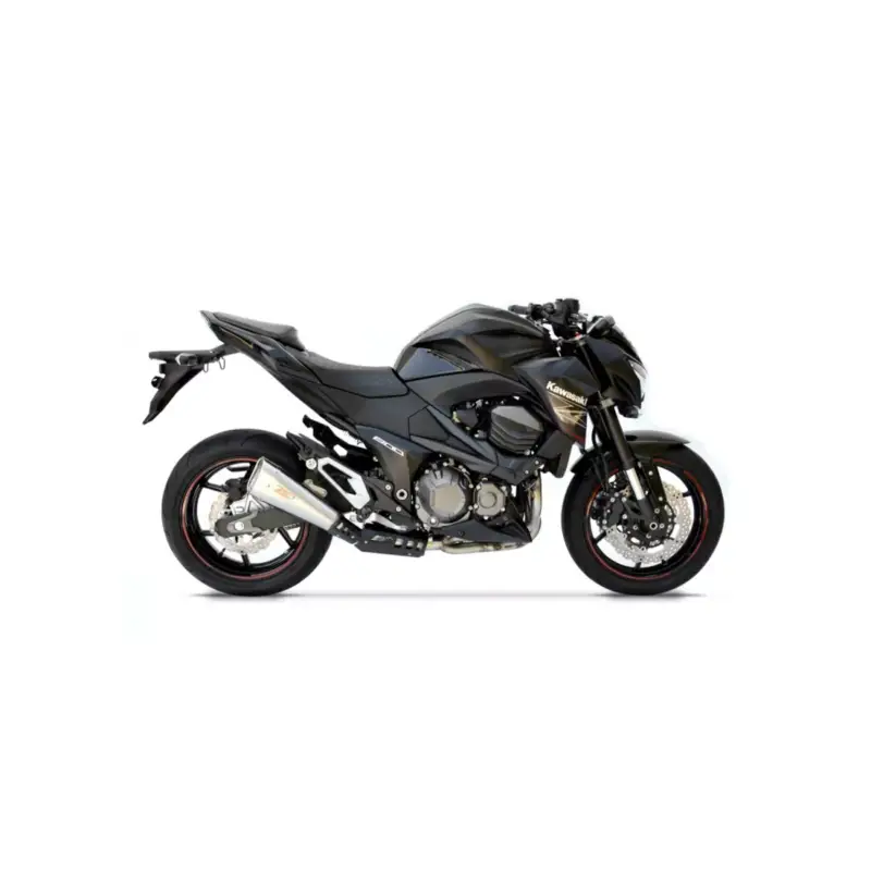 Petit Prix Silencieux racing inox GP ZARD pour Kawasaki Z800