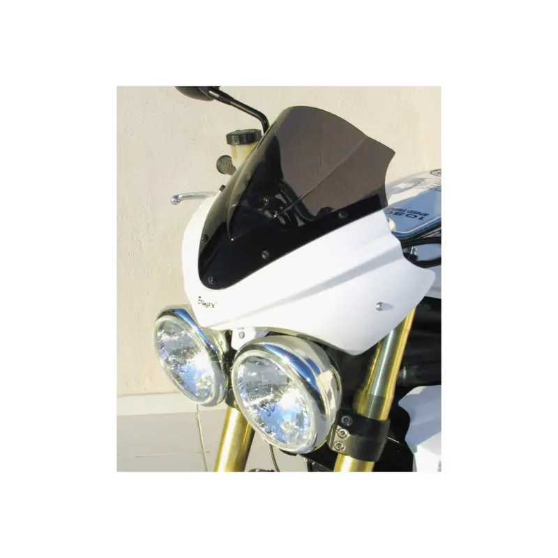 Saute-vent déflecteur Ermax 25cm - Triumph 1050 Speed Triple 2005-2010 Vente Directe