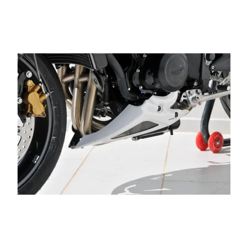 Vente Directe Sabot moteur Ermax pour Triumph Street Triple 675 R 2012
