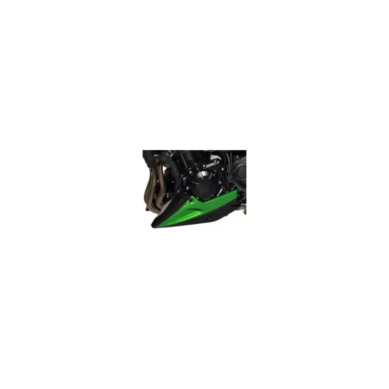 Sabot moteur Ermax pour Kawasaki Z900 2020 et + Dernière Chance