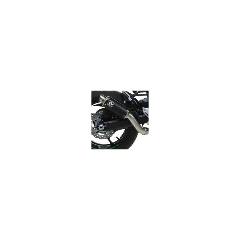 Achetez Aujourd’hui Silencieux GP2 ARROW 71556GPI Nichrom Dark pour Kawasaki Z900 2020 et +