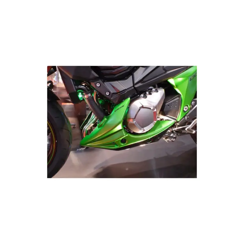 Promotion Saisonnière Sabot moteur Ermax pour Kawasaki Z800 / Z800E 2013-2016