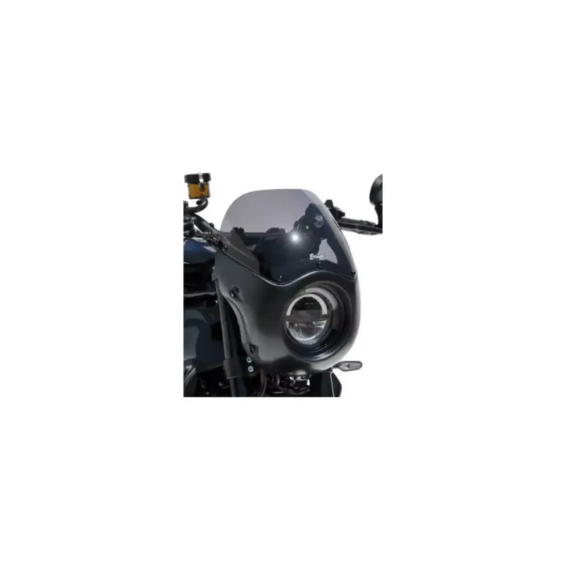 Tête de fourche Ermax Café Racer pour Yamaha XSR900 2022 et + Offre Exclusive